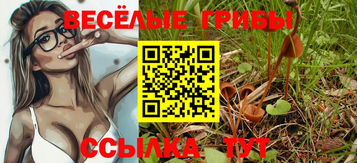 Галлюциногенные грибы мухоморы  Галлюциногенные грибы ЛСД  Севастополь  Вход с VPN 